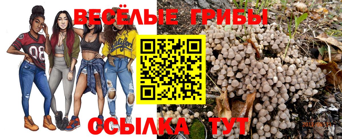 Галлюциногенные грибы прущие грибы  Псилоцибиновые грибы прущие грибы  Отрадное  Вход с VPN 